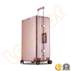 Common types of suitcases