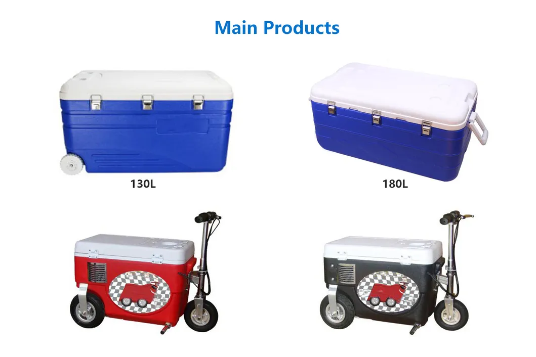 48L Thermos Vaccine Carrier Icebox/Portable Insulated Ice Cooler Box