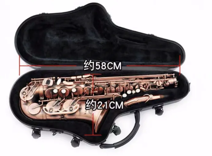 ABS Alto Saxophone Case (ABSA002)