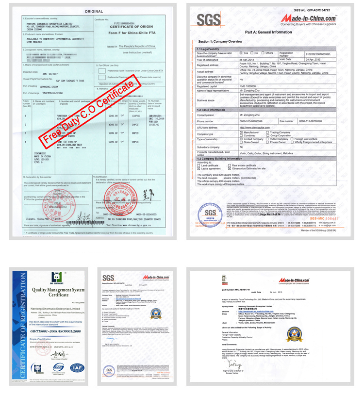 Acoustic Guitar Classic Guitar Electric Guitar Gig Bag Colorful