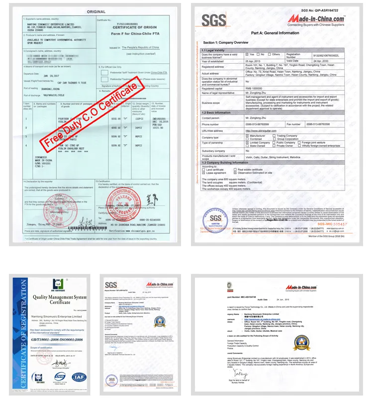 Best Guitar Factory Electric Guitar Hard Case Guitar Gig Bag