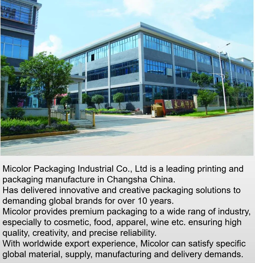 Custom Paper Handle Rigid Paper Foldable Gift Shoes and Food Take Away Packaging Box