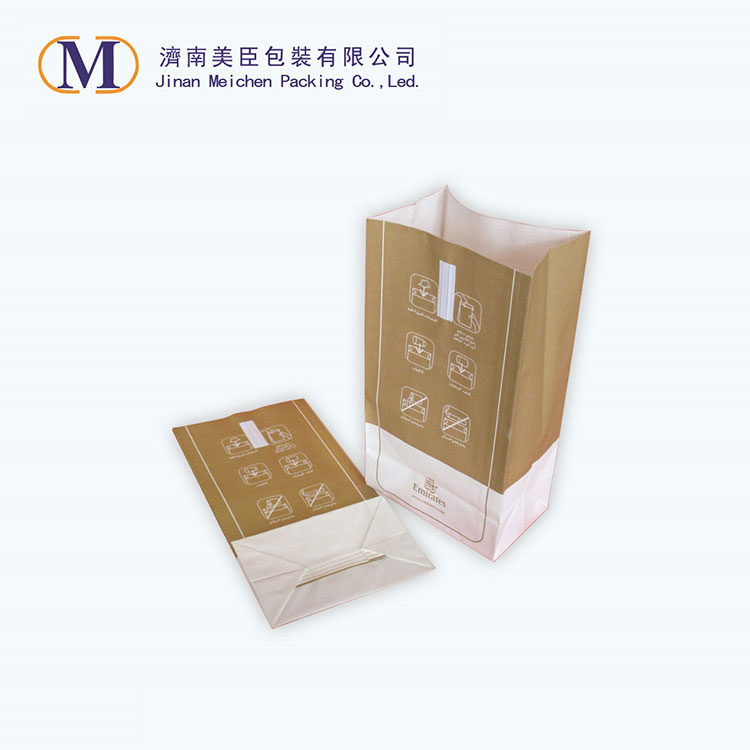 airsickness bag